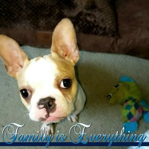 Meet your Posher, Barbara